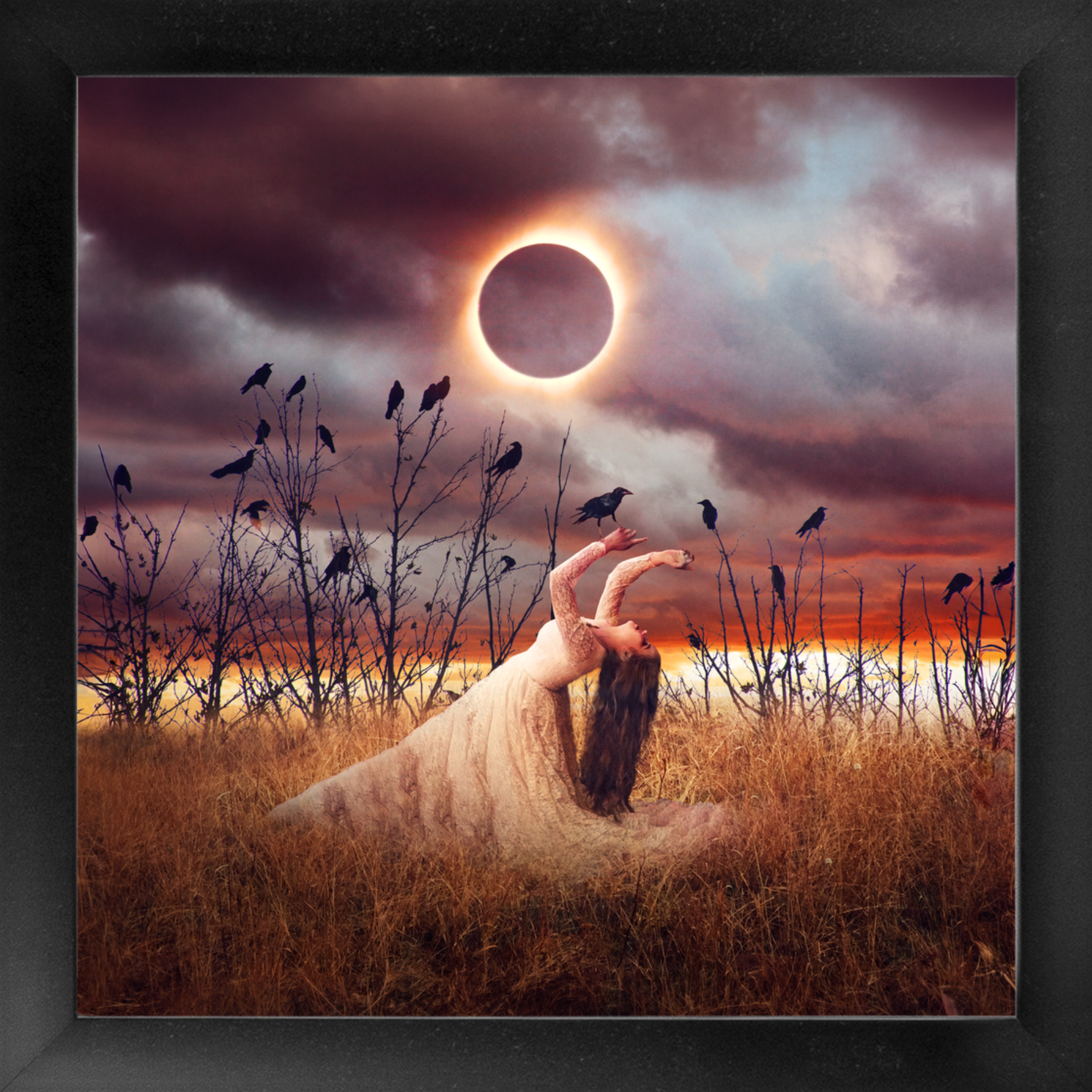 Solar Eclipse in Scorpio Framed Print