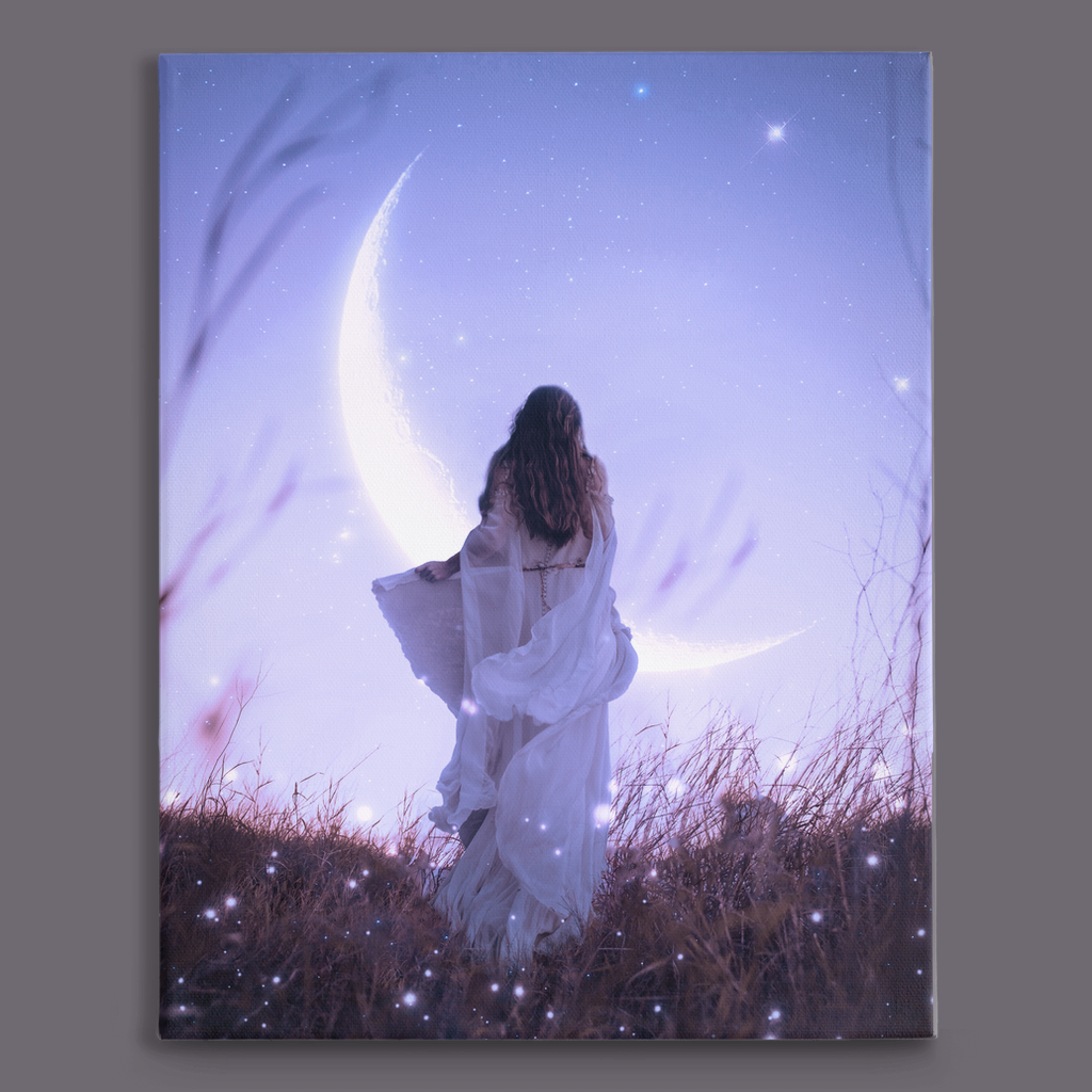 Chasing the Moon Traditional Stretched Canvas